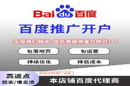 案例研究：SEM开户助力电商快速崛起